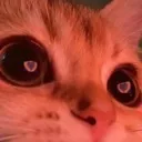 heart_eyes1
