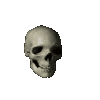 7651spinningskull