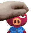 rasherpat