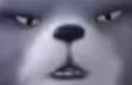 about2bear