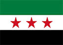 flag_fsa Discord emoji