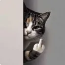 catFU