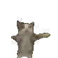 cat_happie