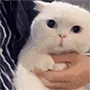 uhhhhhh