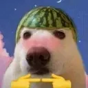 c2m_shy_dogu