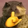 ZhuchengMewing