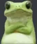 Sapo Sapo