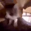 cat_EXCITE