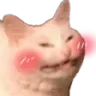 blushingcatto