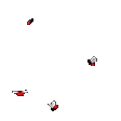 lacrosse2
