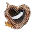Empty__Nest