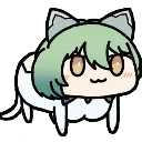 catface