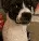 GIF_20240429_211514_609