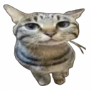 hecs_cat