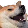 Kek_Doge