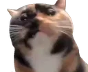 livemeatwormreaction