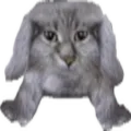 go