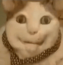 pA_catBoo Discord emoji