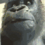 AYOO Discord emoji