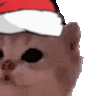 pA_kittyJam Discord emoji