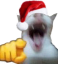 pA_catWAJAJA Discord emoji