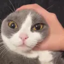 bruce_grab