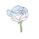 27243flowerwhitepink