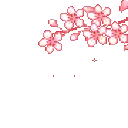 3126_cherryblossom_border