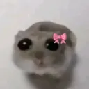 HamsterHammy