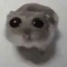 1201585676454469662