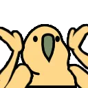 parrot_shrug