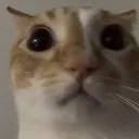 stare2