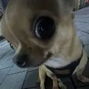 stare4 stare4