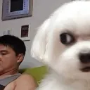 sideeye sideeye
