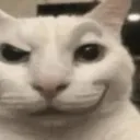 Cat_Smirk