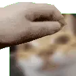 ErmPat