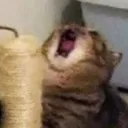 AAAAAAA