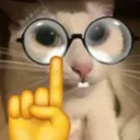 nerdcat