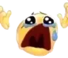 NOOOOOOOOOOOOOOO