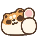 Shibathumbsup