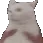 ae_shake