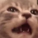 WHYYYYYYYYYYYYYYYYYYYYYYY