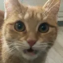 Lexie_Shocked
