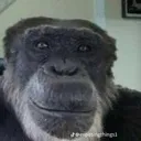 grinningmonkey