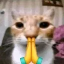 Pray