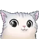 CatSmile_CF