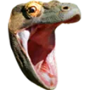 SHOCK