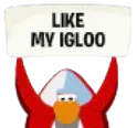likemyigloo
