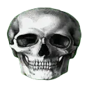 skull