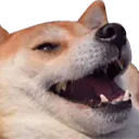 dogheh